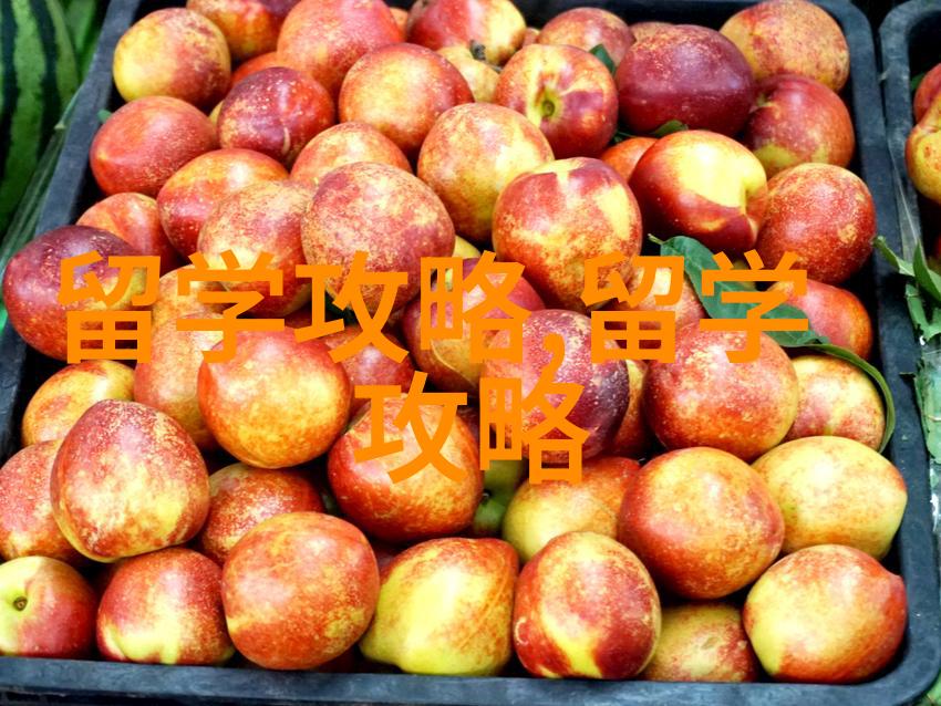 马来西亚留学世纪大学本科学费及独特优势全解析