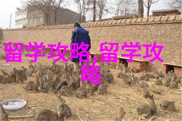墨尔本大学蒙纳士大学2025年第一学期申请截止时间