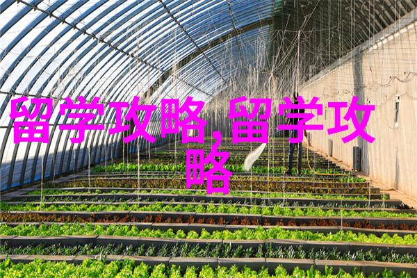 芬兰留学声乐研究生几年