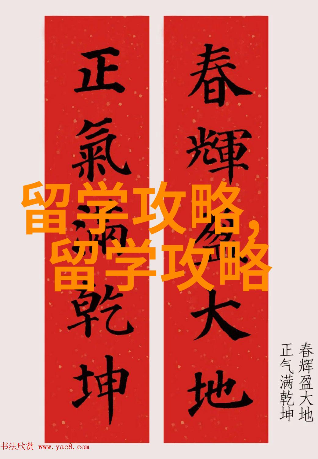 2012高招仍在进行 留学市场升温下考生要理性选择